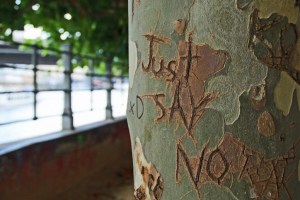 "Just say no" - geritzt in Baumstamm Foto: stencil